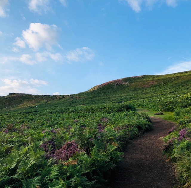 Bamford Edge – Intrepid Nurse